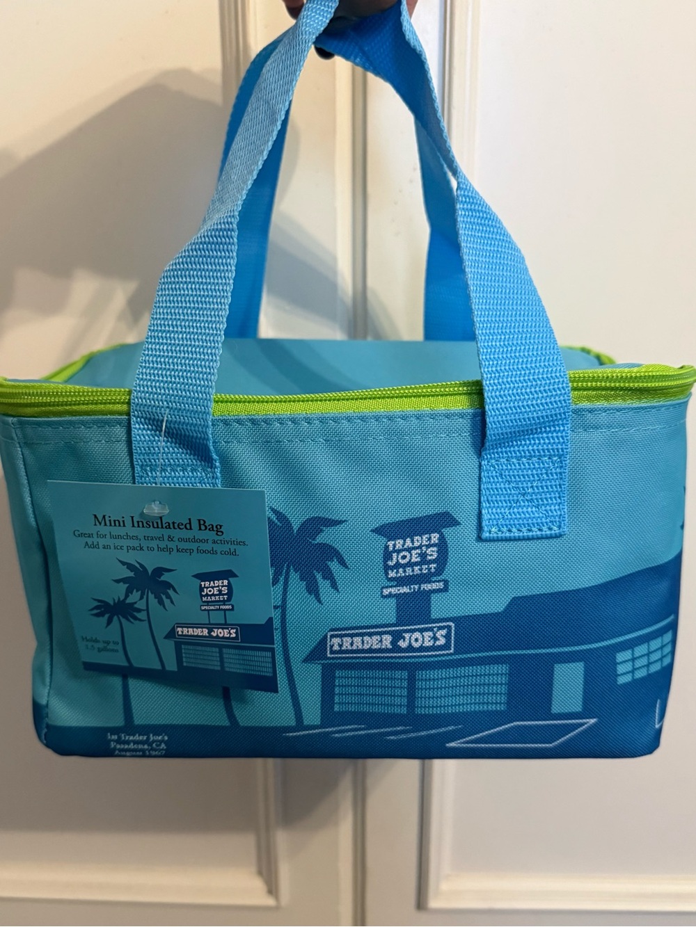 Trader Joe’s Mini Insulated Bag
